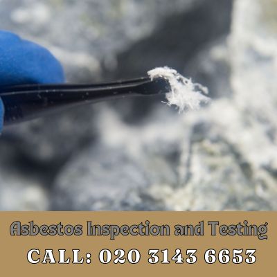 Comprehensive Asbestos Inspection and Testing Services in Tottenham